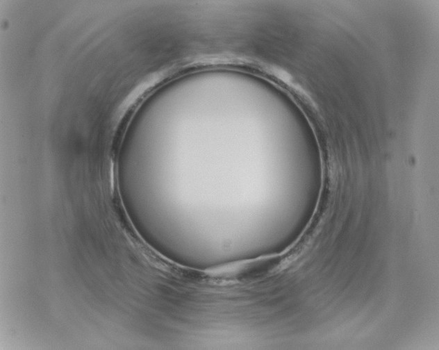 X0000071331221200607211959