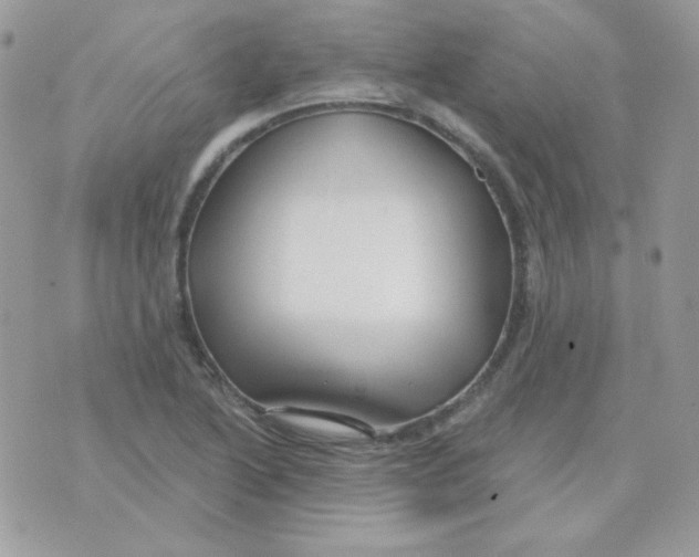 X0000071331222200607211959