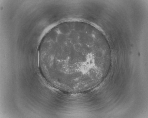 X0000071331223200607211959