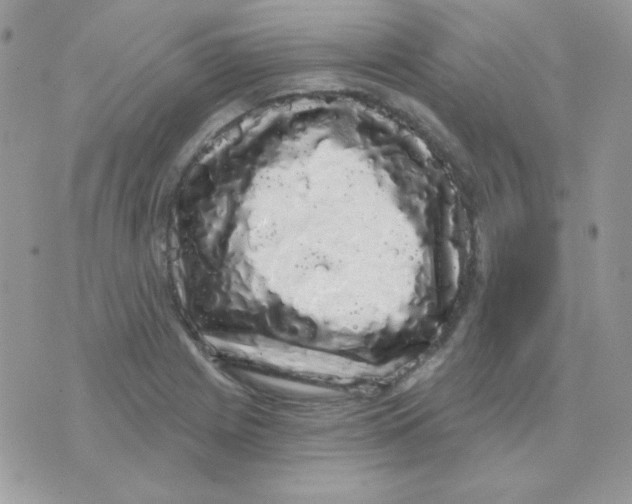 X0000071331225200607211959