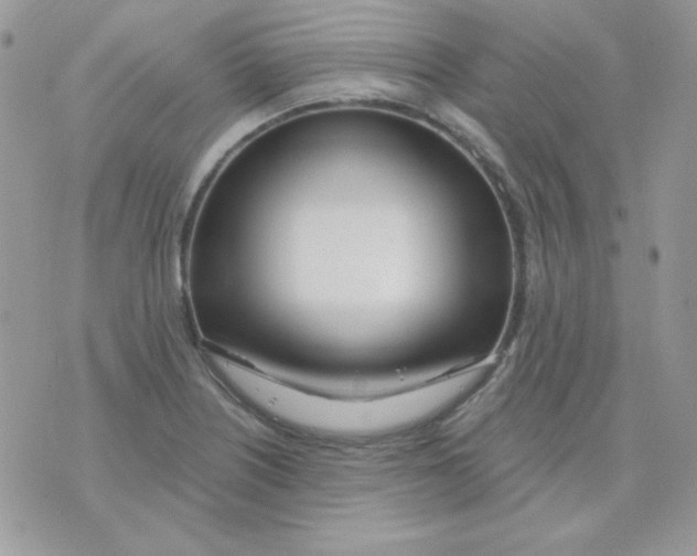 X0000071331226200607211959