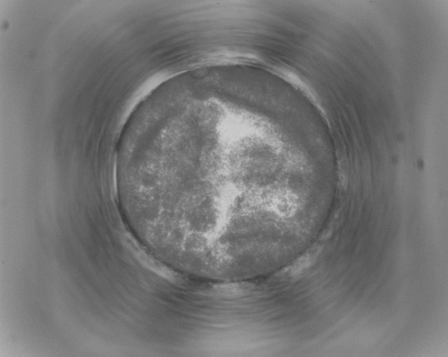 X0000071331227200607211959