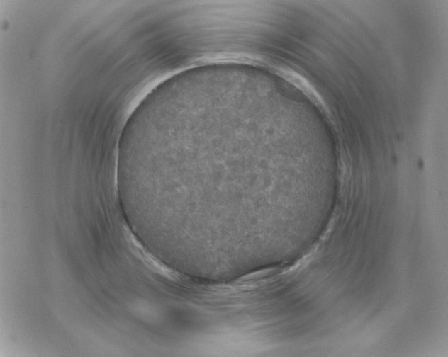 X0000071331228200607211959