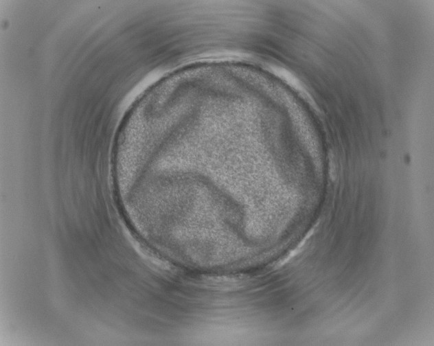 X0000071331229200607211959