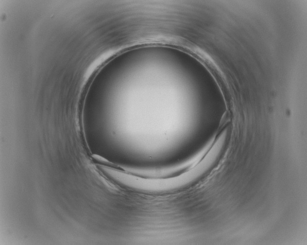 X0000071331230200607211959