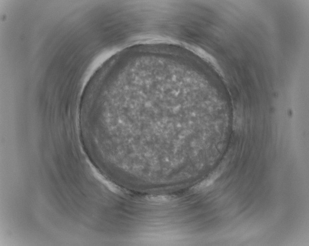 X0000071331231200607211959