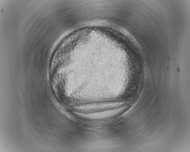 X0000071331232200607211959