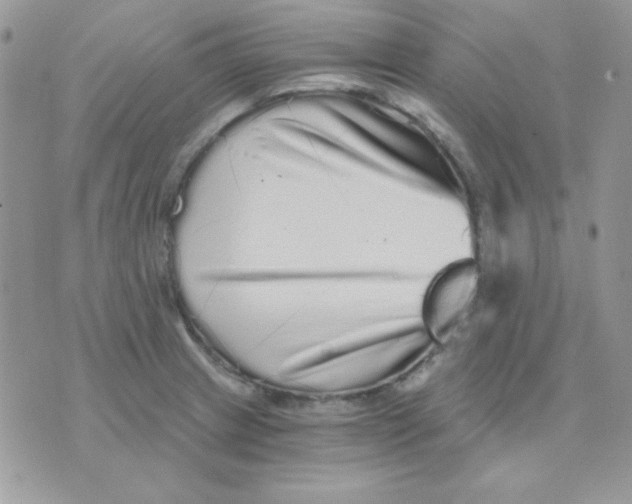 X0000071331233200607211959