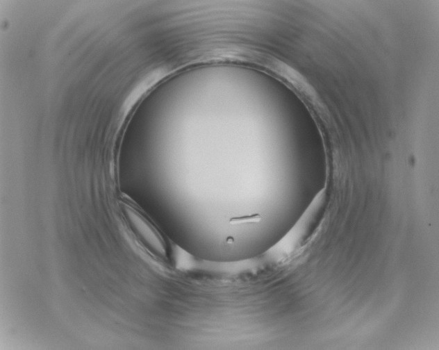 X0000071331234200607211959