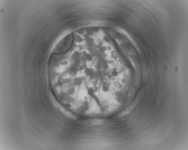 X0000071331235200607211959