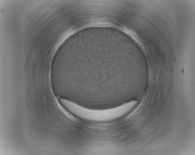 X0000071331237200607211959