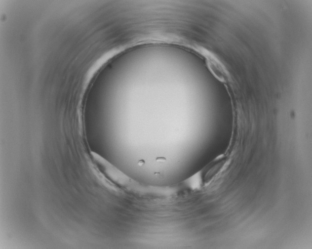 X0000071331238200607211959