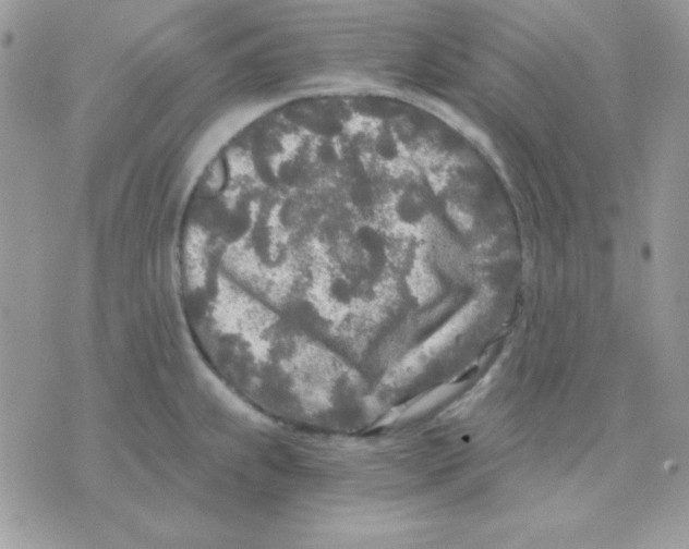 X0000071331239200607211959