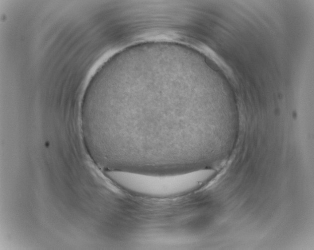 X0000071331240200607211959