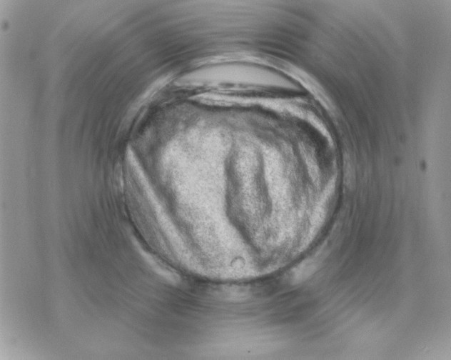 X0000071331241200607211959