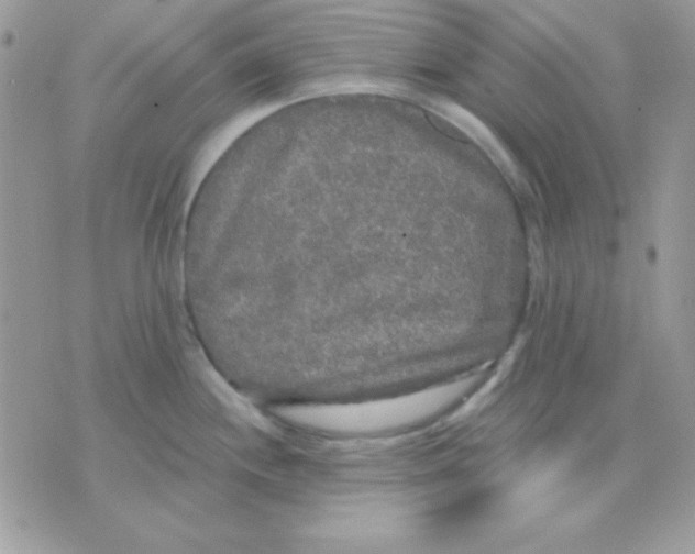 X0000071331244200607211959