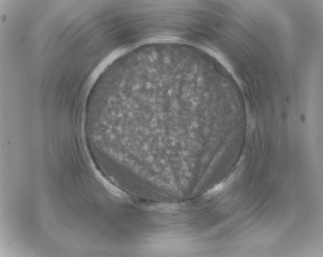 X0000071331245200607211959