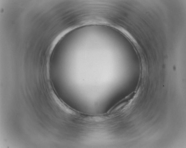 X0000071331246200607211959