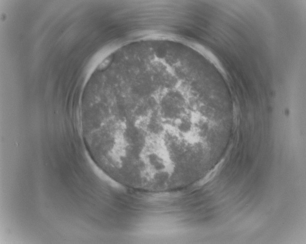 X0000071331247200607211959