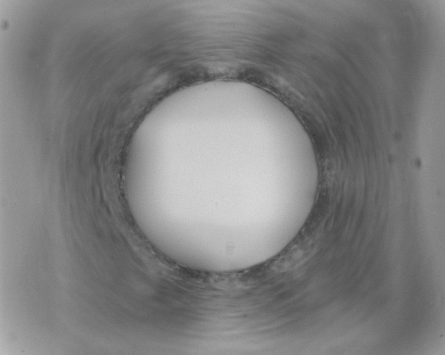 X0000071331249200607211958