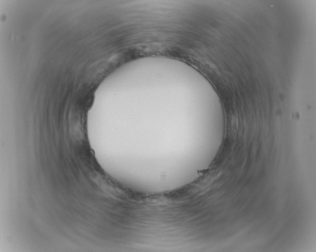 X0000071331250200607211958