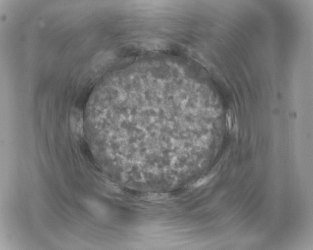 X0000071331251200607211958