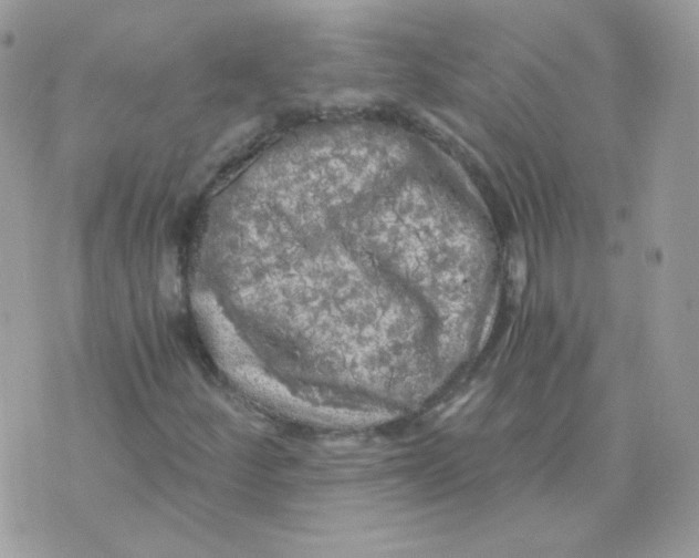 X0000071331252200607211958