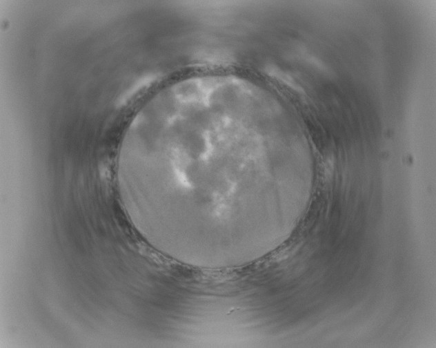 X0000071331254200607211958