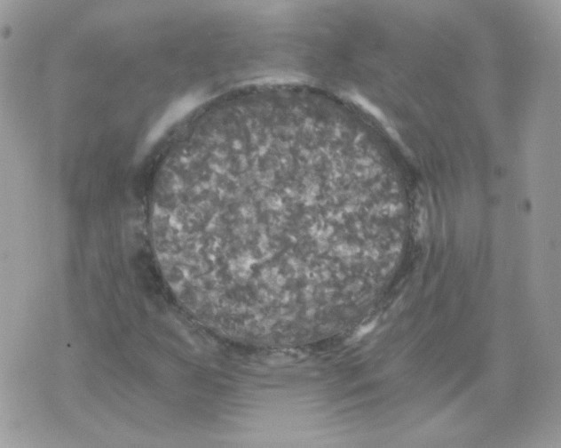 X0000071331255200607211958