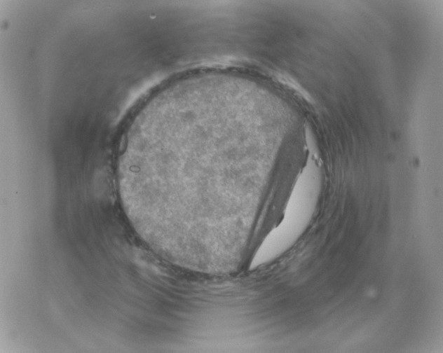 X0000071331256200607211958