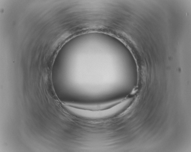 X0000071331257200607211958