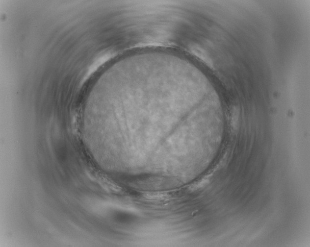 X0000071331258200607211958