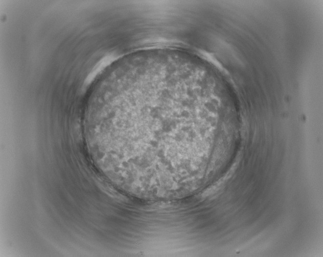 X0000071331259200607211958