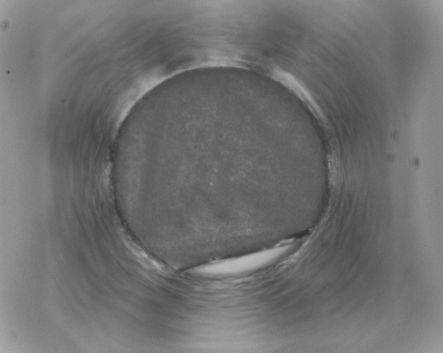 X0000071331260200607211958