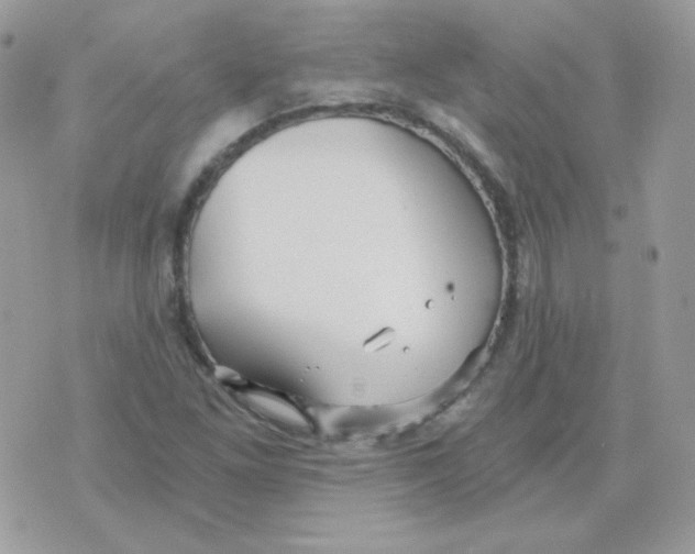 X0000071331261200607211958