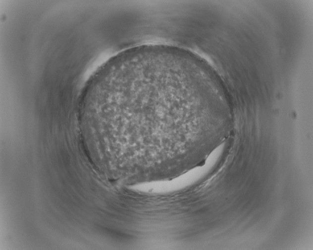 X0000071331263200607211958