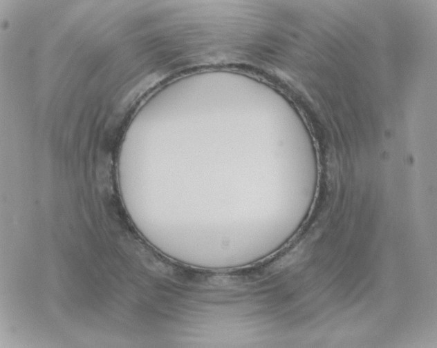 X0000071331265200607211958