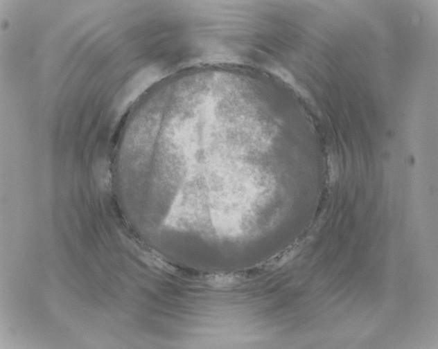 X0000071331266200607211958