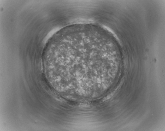 X0000071331267200607211958