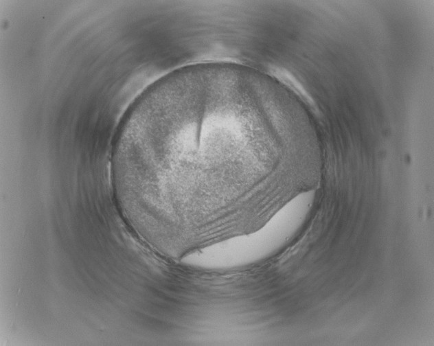 X0000071331268200607211958