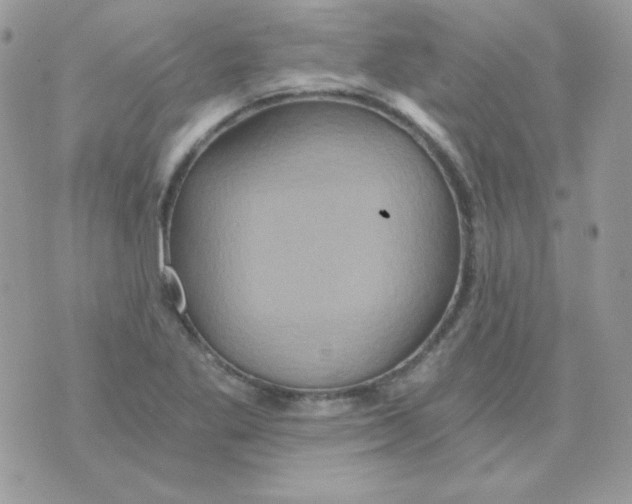 X0000071331269200607211958