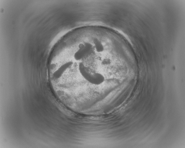 X0000071331271200607211958