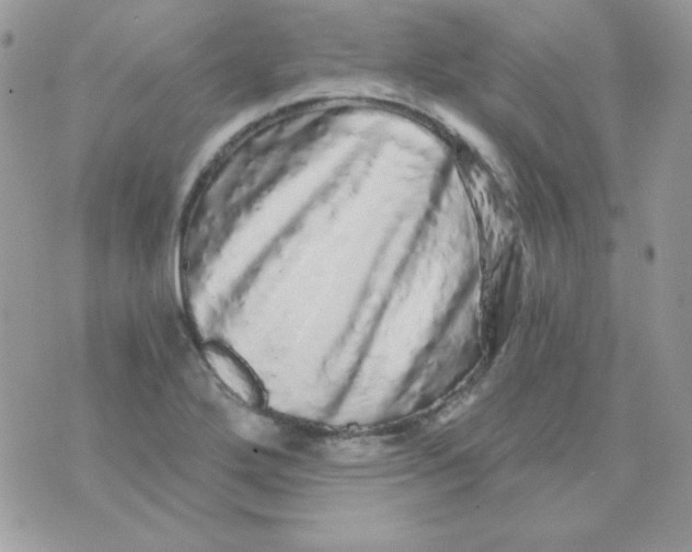 X0000071331272200607211958