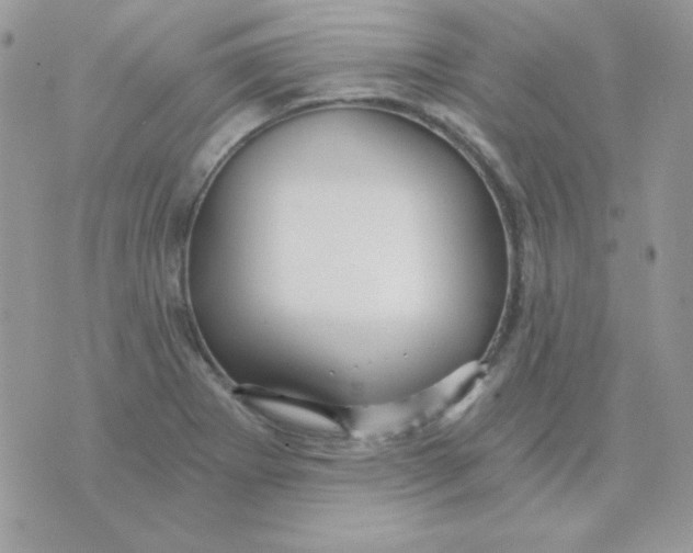 X0000071331273200607211958