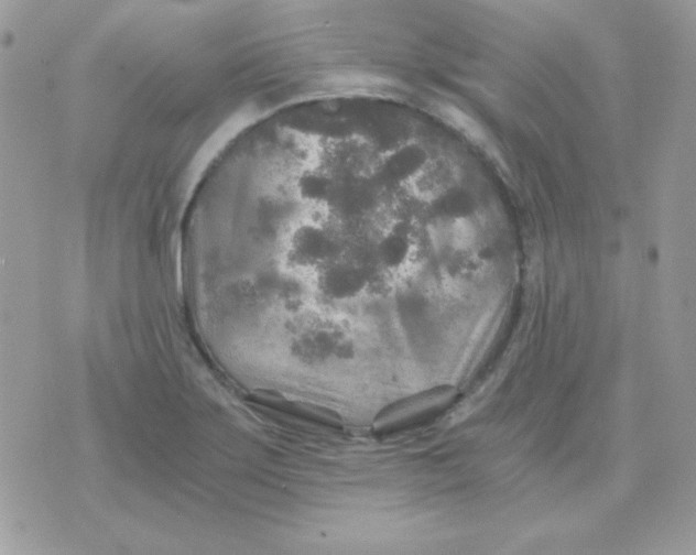 X0000071331275200607211958