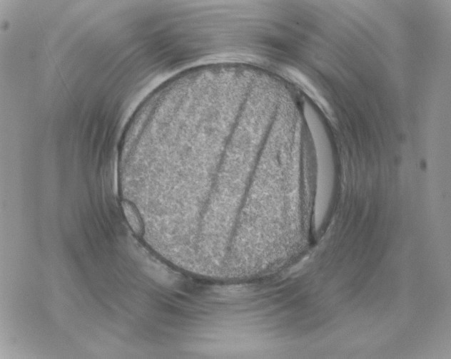 X0000071331276200607211958