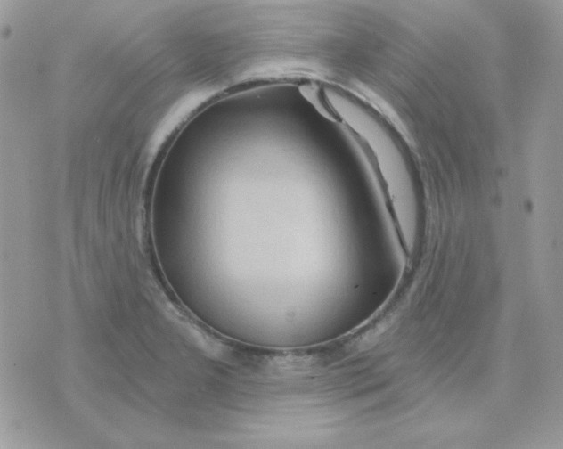 X0000071331277200607211958