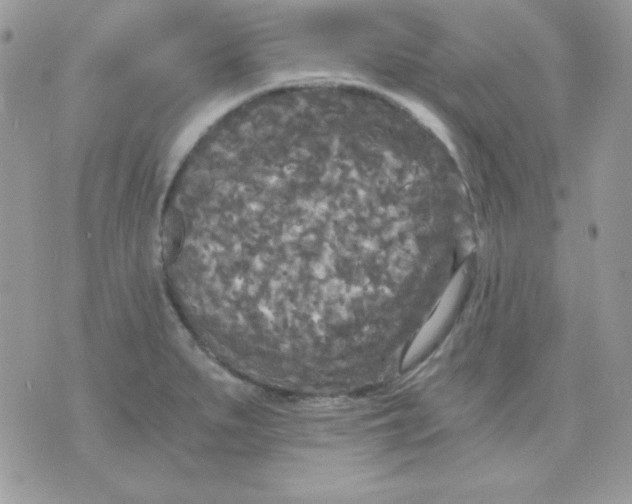 X0000071331279200607211958