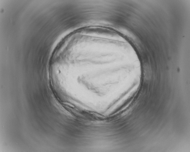 X0000071331280200607211958