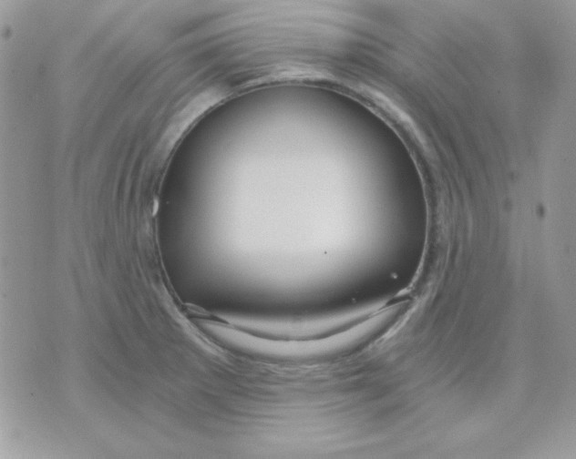 X0000071331281200607211958